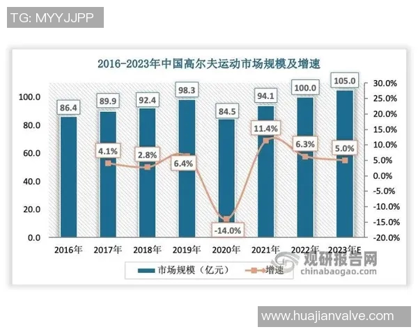 上海羽毛球队的实力分析与未来发展展望