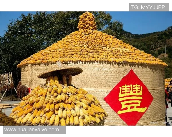 五谷丰登与可持续农业：探索五谷农作物的多功能与生态价值