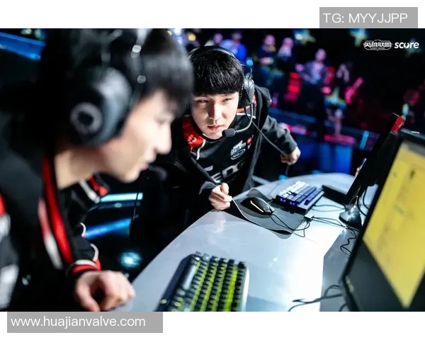 深入分析EDG战队阵地战策略与战术执行的精髓